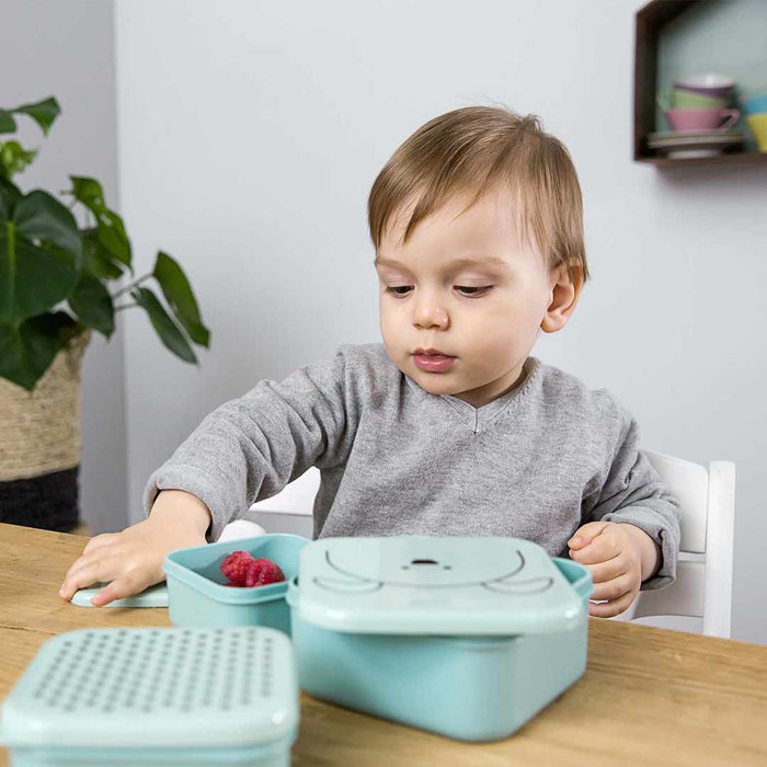 Snackboks 3 Pk Dog Lässig